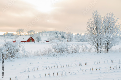 Rural winter landscape with a farm