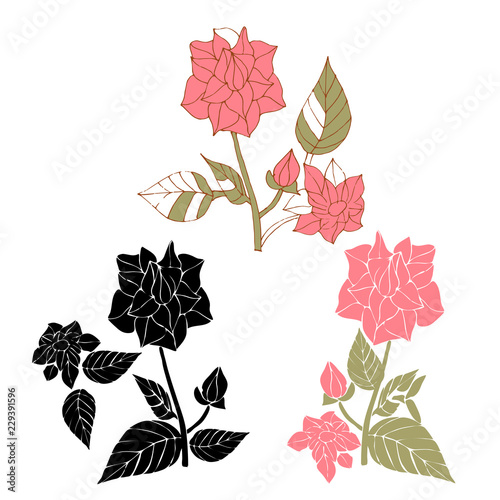 Camellia flower. Color, black silhouette. On a white background.