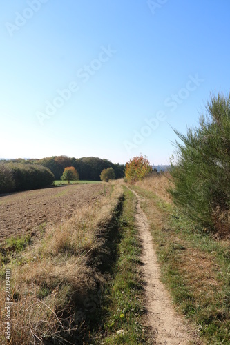  Weg zwischen Wald und Wiese und Acker im Herbst lädt zum Wandern ein