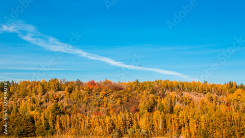 The beautiful autumn forest and blue sky background scenery