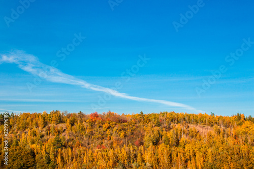 The beautiful autumn forest and blue sky background scenery