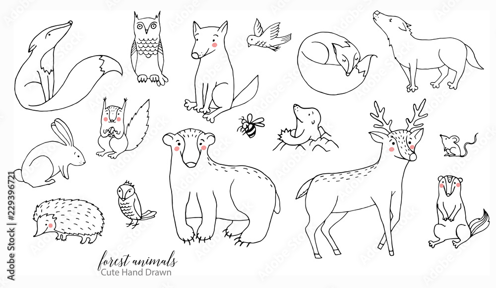 Hand drawn line art cartoon doodle animal set in vector. Forest animal  illustrations isolated on the white background Stock Illustration | Adobe  Stock