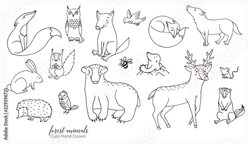 Hand drawn line art cartoon doodle animal set in vector. Forest animal illustrations isolated on the white background