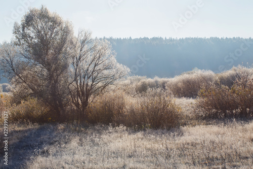 sunny autumn landscape with frost