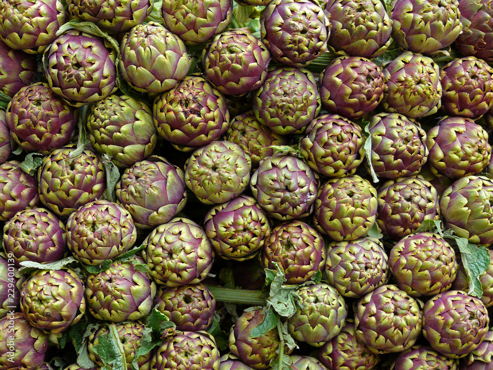 Fototapeta premium Artischocken