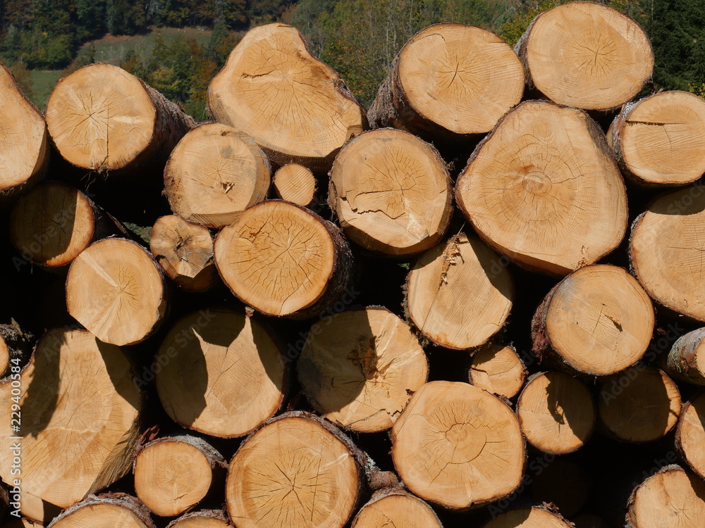 Wooden Logs Wooden Logs