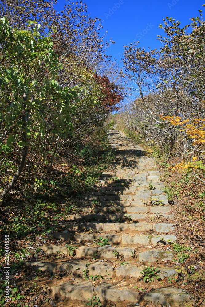 Fototapeta premium 蔵王 賽の磧・刈田岳線登山コースの風景