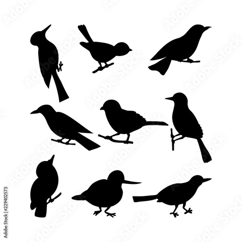 Black birds Silhouettes