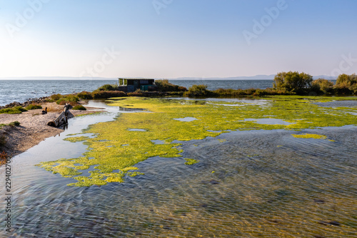 landscape of the banks of the pond of Berre photo