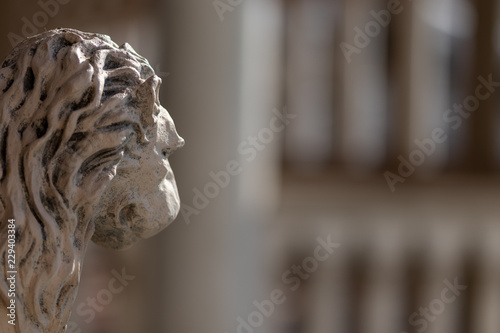 Photography Lions in architecture in Las Vegas, NV