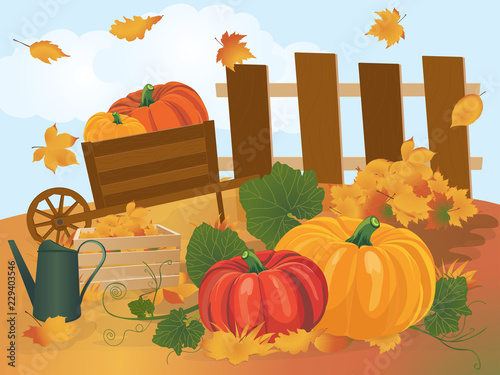 Garden harvest with vegetables and different gardening equipment, tools. Vector illustration.