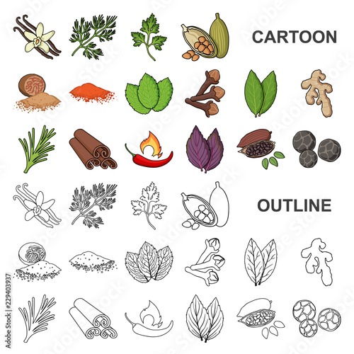 Herb and spices cartoon icons in set collection for design.Different kinds of seasonings vector symbol stock web illustration.
