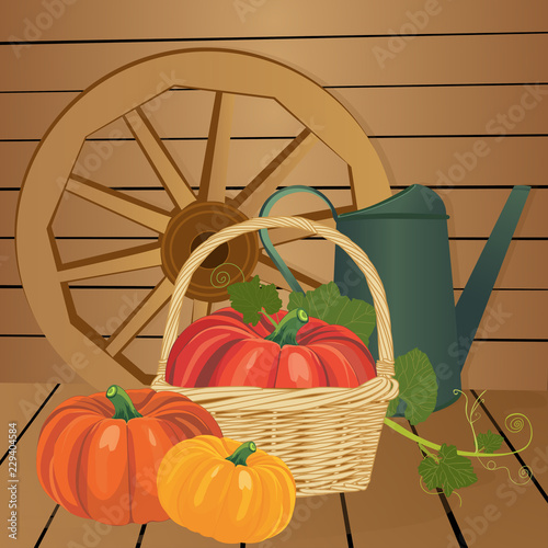 Garden harvest with vegetables and different gardening equipment, tools. Vector illustration.