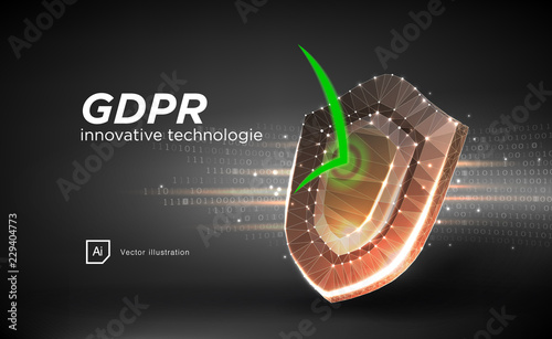 Privacy data protection law GDPR. Data regulation sensitive information safety shield European Union.Right to be forgotten removing genetic encryption. Global business Privacy vector in style low poly