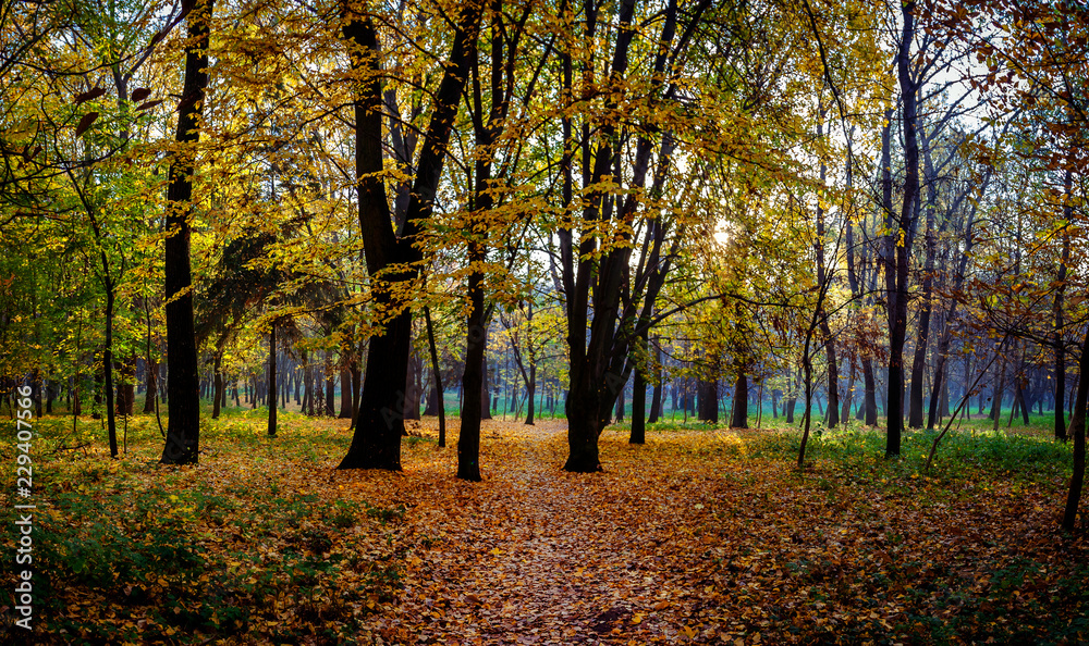 Fototapeta premium Autumn in the city park. The city of Khmelnitsky