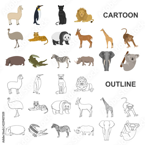 Photography Different animals cartoon icons in set collection for design