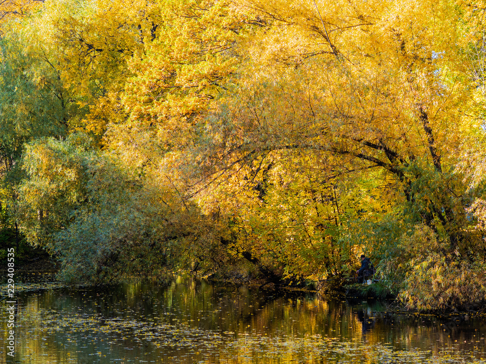 Autumn on the shore of the pond