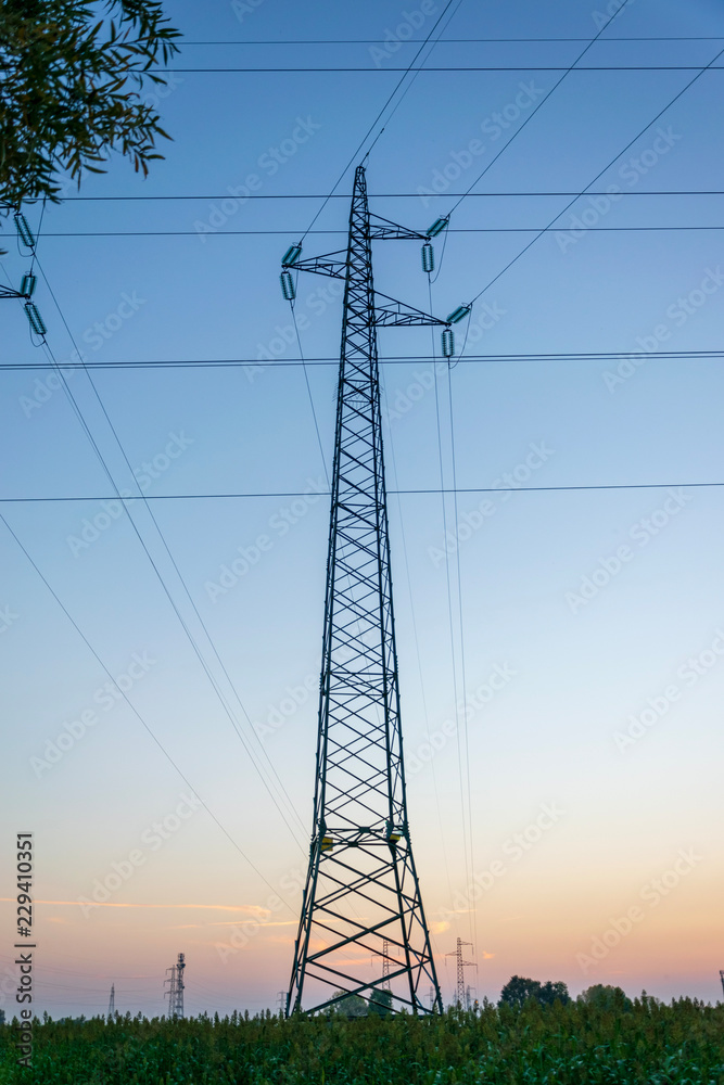 Fototapeta premium power lines on blue sky