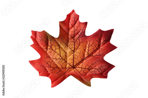 Top view on one autumn leaf. A multicolored maple leaf made of fabric isolated on a white background.