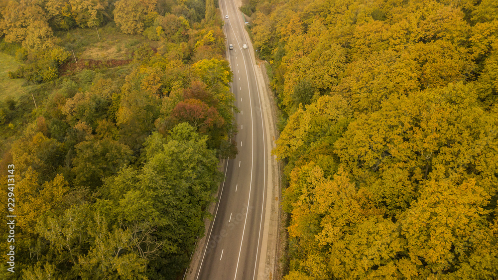 Aerial drone fly over autumn trees along hignway road. 