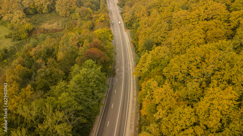Aerial drone fly over autumn trees along hignway road. 