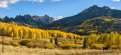 Autumn Mountain Valley - Golden autumn scene at a mountain valley on Owl Creek Pass Road, near Ridgeway, Colorado, USA. © Sean Xu
