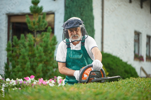 Adult man landscaping bushes with hedge cutter.