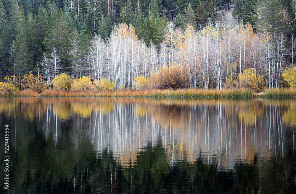 Reflection at June lake at Eastern Sierra. Reflection at June lake at Eastern Sierra.