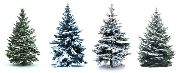 Christmas Tree collage