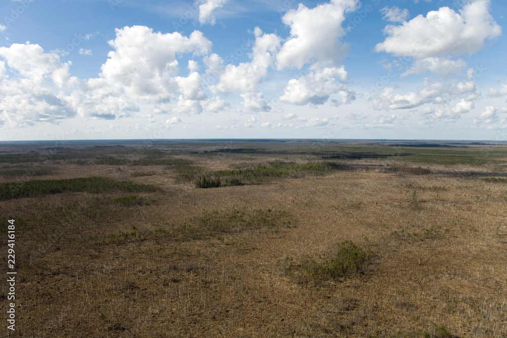 Тундра/Tundra