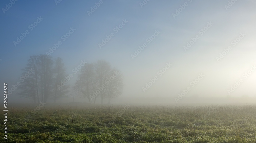 Beautiful, colorful landscape of a misty meadow during sunrise. Trees in thick fog. Beautiful, colorful landscape of a misty meadow during sunrise. Trees in thick fog.