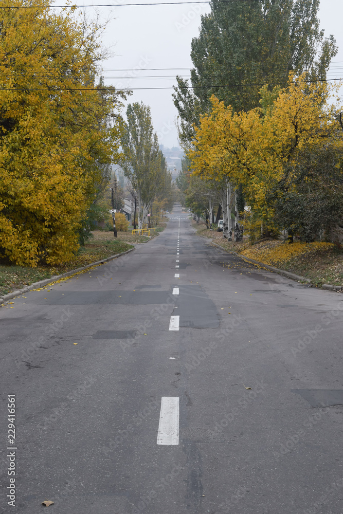 Autumn road. Trees with yellow leaves and grass.