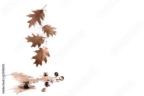 Autumn composition. Frame made of oak leaves and acorns on white background. Autumn, fall modern concept. Flat lay, top view, copy space 