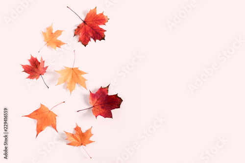 Autumn minimal composition. Frame made of colorful red leaves on pastel pink background. Autumn  fall modern concept. Flat lay  top view  copy space 