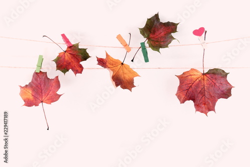 Autumn minimal composition. Frame made of colorful leaves on pastel pink background. Autumn  fall modern concept. Flat lay  top view  copy space 