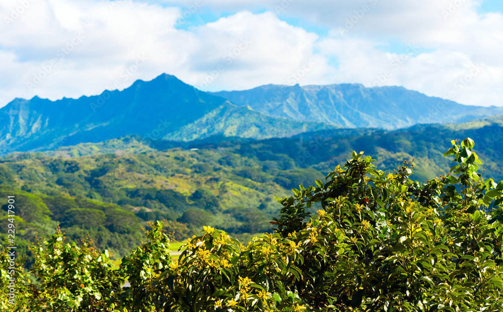 View of the mountain landscape, Kauai, Hawaii, USA.