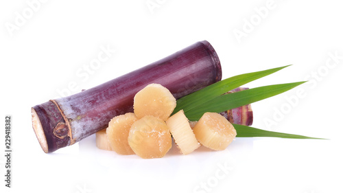 sugarcane isolated on white backgroun