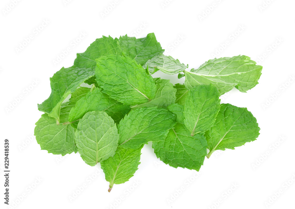 mint leaf on white background mint leaf on white background
