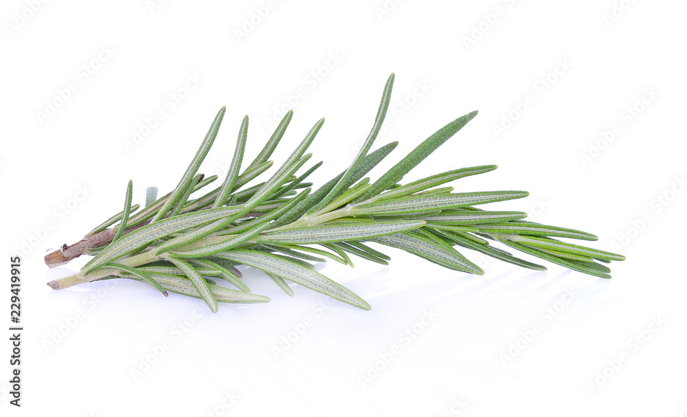 Fototapeta premium rosemary isolated on white background