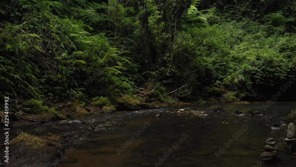 4K flying drone video over the mountain river in the jungle of Bali island, Indonesia. Travelling Asia. Deep rainforest, flowing water, wild nature. 4K flying drone video over the mountain river in the jungle of Bali island, Indonesia. Travelling Asia. Deep rainforest, flowing water, wild nature.