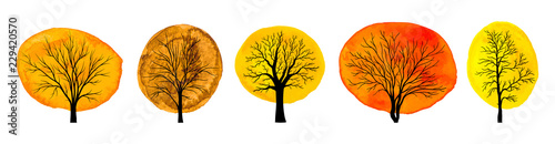 Set of trees with autumn watercolor foliage isolated on white background vector