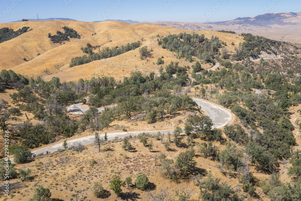Winding road leads through the hills of southern California's wooded wilderness.