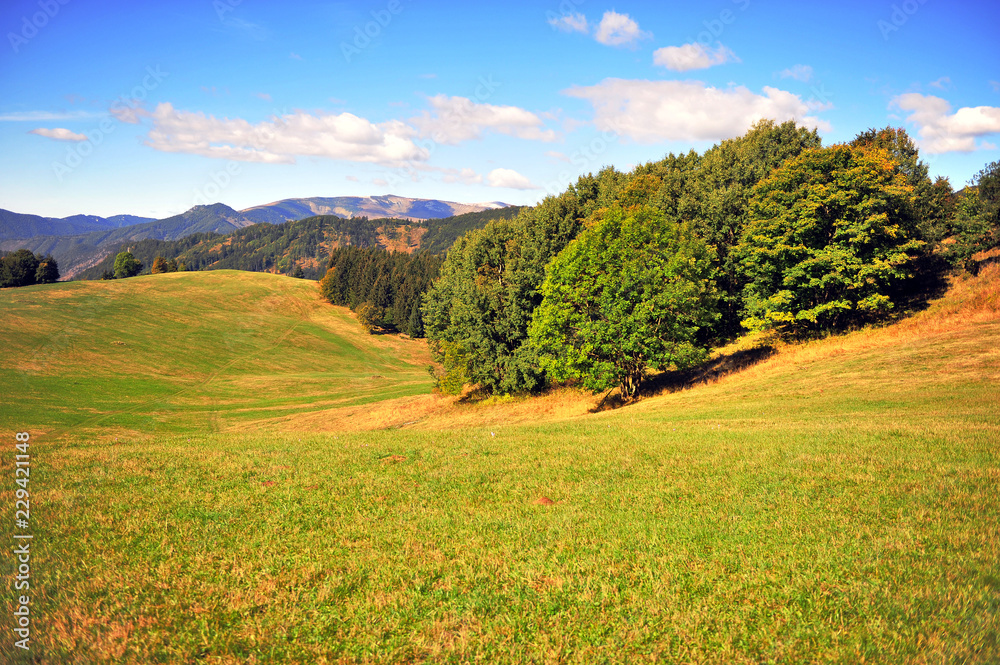 Natural landscape with green hills in national park of Tatras