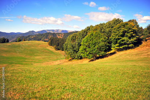 Natural landscape with green hills in national park of Tatras