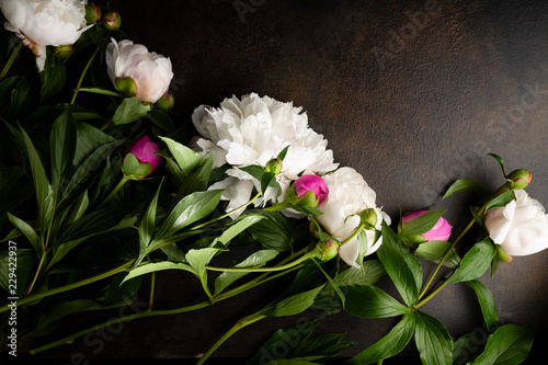 Bunch of White and pink pionies photo