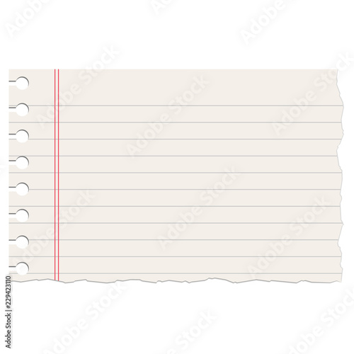 Realistic ruled notebook ripped empty sheet. Torn notebook school paper sheet with red and grey lines.
