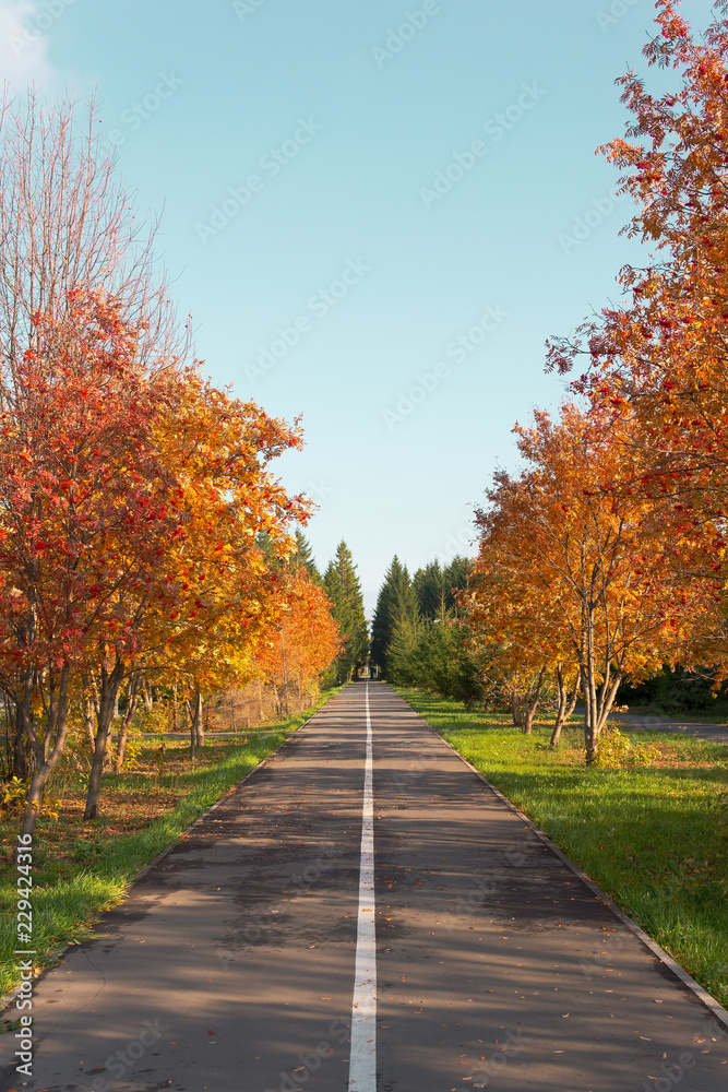 Bicycle path in autumn park Bicycle path in autumn park