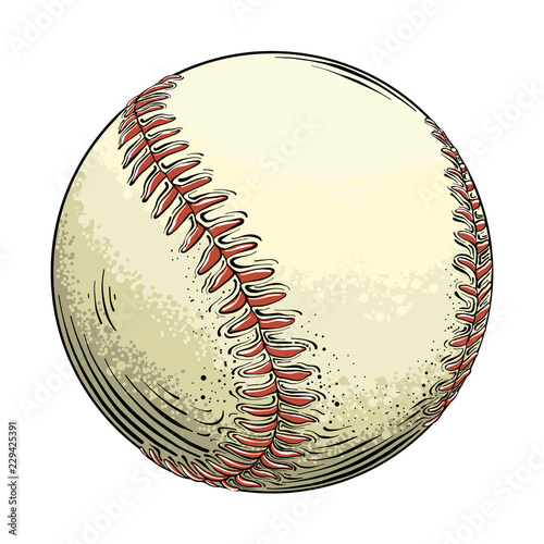 Hand drawn sketch baseball ball in color, isolated on white background. Detailed drawing in the style of vintage. Vector illustration