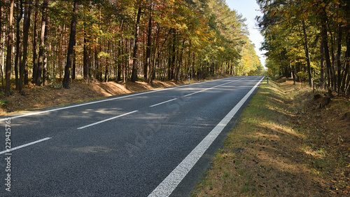 Route 38 in autumnal in czech Machuv kraj region on 13th october 2018