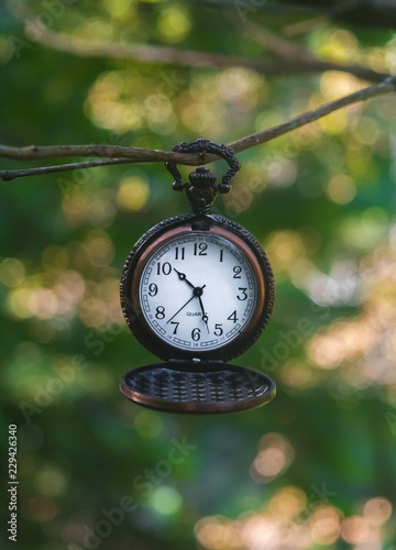 Old vintage pocket watch hanging on a tree branch with nice,green,soft nature background.  